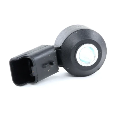Bild av DELPHI AS10174 Capteur de cognement PEUGEOT: 206 3/5 portes, 406 Coupe, 307 CITROËN: Xsara 5 C5 I C3 portes