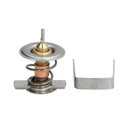 Bild av Termostat, kylvätska THERMOTEC D2X009TT