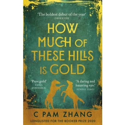 Bild av How Much of These Hills is Gold: ‘A tale two sisters during the gold rush … beautifully written’ i, Best Books Year