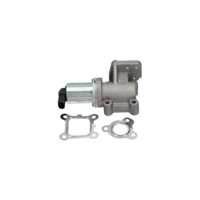 Bild av KAVO PARTS EEG 3007 Vanne EGR électrique avec joint d&#039;étanchéite HYUNDAI: H 1 / Satellite MPV