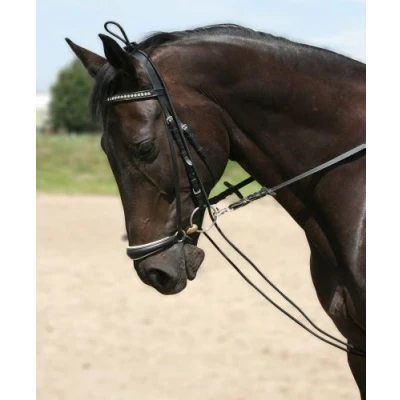 Bild av Pfiff Training Reins
