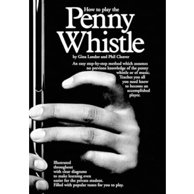 Bild av How to play the penny whistle