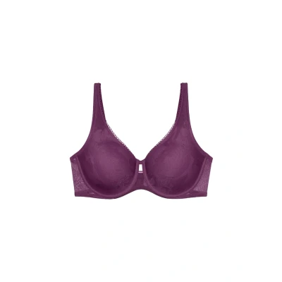 Bild av Triumph Wild Rose Sensation W01 Blomma lila, 80F