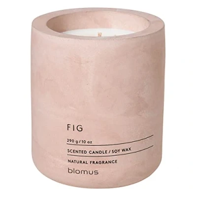 Bild av blomus FRAGA Doftljus L av sojavax, Rose Dust, högkvalitativ rumsdoft, karakteristisk betonggook, doft FIG, 55 h brinntid, särskilt sot (H/B/D: 11 x 9 cm, 65655)