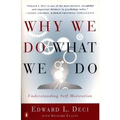 Bild av Why We Do What Do: Understanding Self Motivation