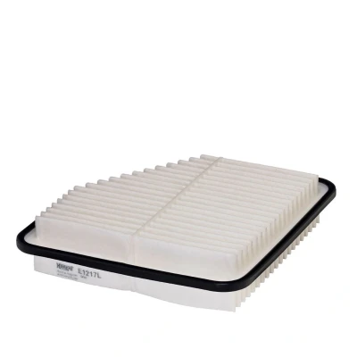 Bild av Luftfilter Hengst filter E1217L