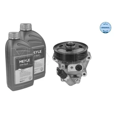 Bild av MEYLE 714 631 0035/S Pompe De Direction Assistée hydraulique avec quantité d&#039;huile pour rinçage à l&#039;huile FORD: S Max Mk1, MONDEO 4, Galaxy Mk2 MPV