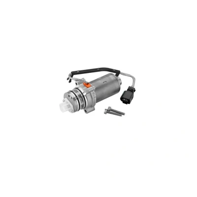 Bild av Pump, lamellkoppling (allhjulsdrift) BORGWARNER DS2002773