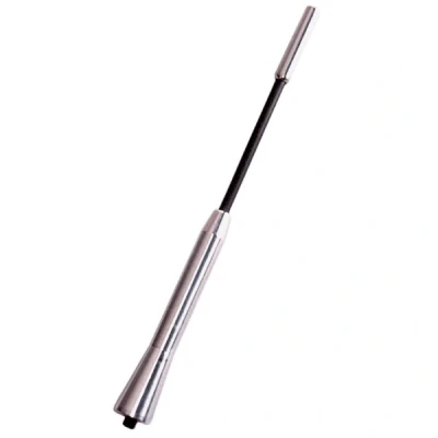 Bild av CARPOINT 2010047 Antennes