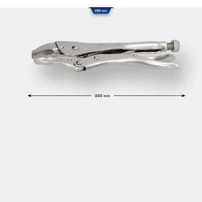 Bild av KS TOOLS BT065903 Pince étau 250