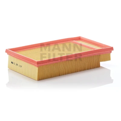 Bild av Luftfilter MANN FILTER C 29 117