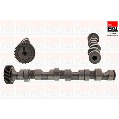 Bild av FAI AutoParts C247 Arbre à Cames pour cylindres 4 6 AUDI: A4 B6/B7 Cabriolet, A6 C5 Berline, B6 Avant, VOLKSWAGEN: Passat B5 GP Berline