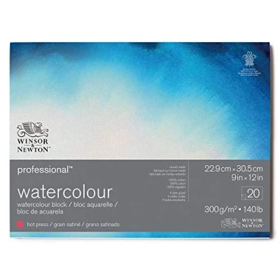 Bild av Winsor &amp; Newton 6664006 Professional akvarellpapper i block 20 ark 22,9 x 30,5 cm, 300 g/m², satinerat, ljust naturligt vitt papper arkiverbar kvalitet, gultbeständigt