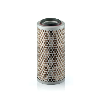 Bild av Luftfilter MANN FILTER C 1176/3