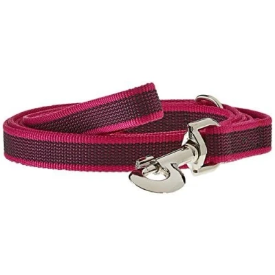 Bild av Julius K9 C&amp;G Super grip leash rosa/grey 20mm/2.0m with handle