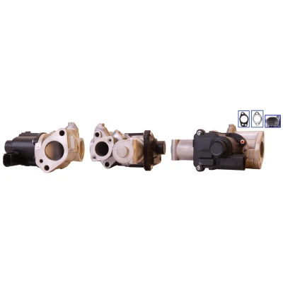 Bild av DRI 717730125 Vanne EGR électrique avec joints AUDI: A4 B8 Avant, Berline, A5 Coupe, VOLKSWAGEN: Touareg I, Phaeton