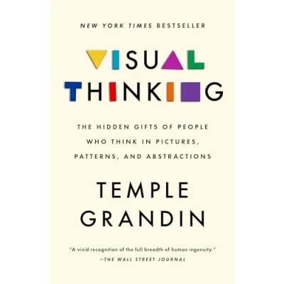 Bild av Visual Thinking: The Hidden Gifts of People Who Think in Pictures, Patterns, and Abstractions