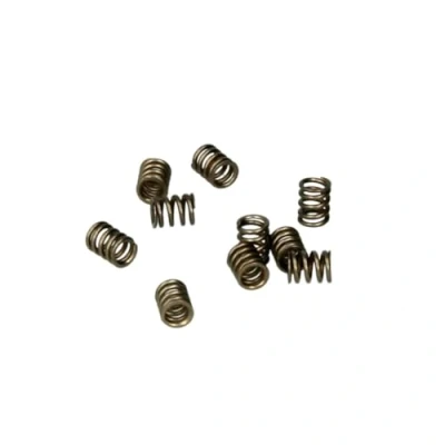 Bild av Fjäder, common rail injektor DELPHI 9308 402B, 10 Stycke