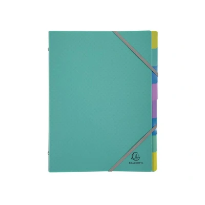 Bild av Exacompta Ref 56193E Forever Young 3 delat sorteringssystem elastisk stängning tillverkad av återvunnen polypropylen 8 fack storlek 25x32 cm för A4 färg turkos