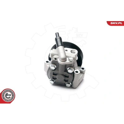 Bild av ESEN SKV 10SKV215 Pompe De Direction Assistée FORD: S Max Mk1, MONDEO 4, Galaxy Mk2 MPV