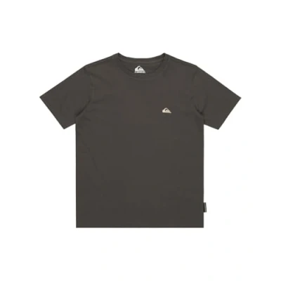 Bild av Quiksilver Tshirt bas för barn, Storlek: 152, Krp