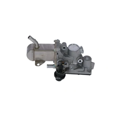 Bild av NRF 48207 Module AGR avec radiateur EGR RENAULT: GRAND SCENIC 3, MEGANE 3 Coupe