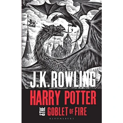 Bild av Harry Potter and the Goblet of Fire: Adult Paperback Editions (2018 rejacket)