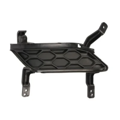 Bild av BLIC 6502 07 3183911P Grille De Pare Choc avant, gauche