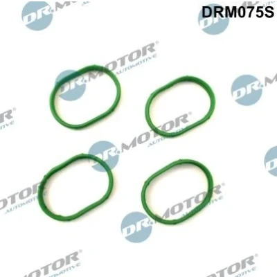 Bild av DR.MOTOR AUTOMOTIVE DRM075S Joints De Collecteur d&#039;Echappement VOLKSWAGEN: Golf 4, 4 Variant, Bora Berline, SEAT: Leon I 3/5 portes