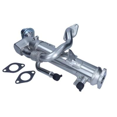 Bild av MAXGEAR 27 4052 Module AGR AUDI: A4 B8 Berline, Q5, Avant