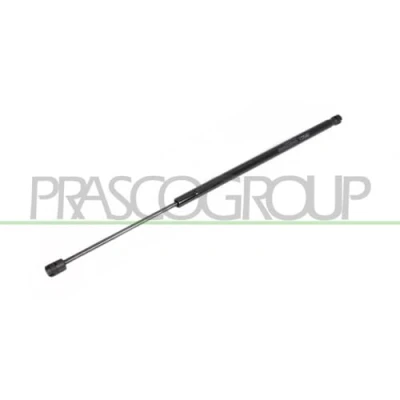 Bild av PRASCO FT4209070 Vérin de coffre 810 603 arrière gauche, droite FIAT: Stilo 3/5 portes