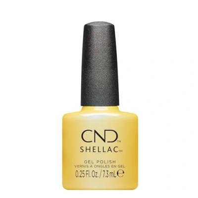 Bild av Shellac Char Truth #466
