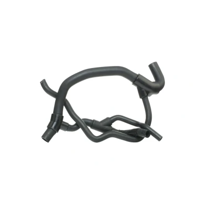 Bild av SASIC SWH4193 Durite De Refroidissement gauche inférieur RENAULT: Kangoo I, I Express, CLIO 2 oscaro, mister auto, yakarouler