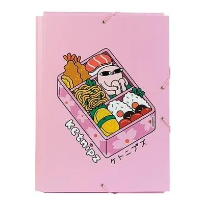 Bild av Grupo Erik Ketnipz Premium A4 File Folder 13.4 x 10 inches 34 25.5 cm 3 Flap Document Organizer School Cool Gifts