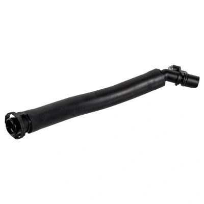 Bild av Slang, vevhusventilation FEBI BILSTEIN 179744
