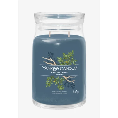 Bild av Yankee Candle Large with 2 wicks Bayside Cedar 16 cm / ø 9