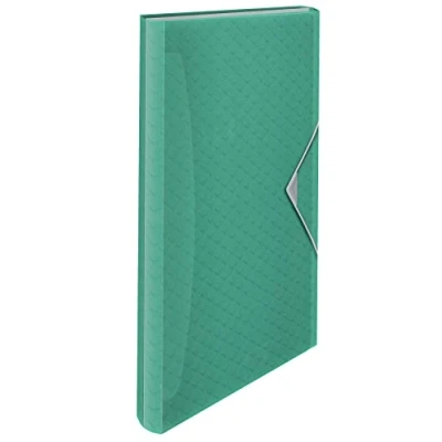 Bild av Esselte Colour&#039;Breeze Expanding Concertina File Green