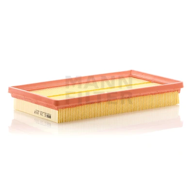Bild av Luftfilter MANN FILTER C 31 012
