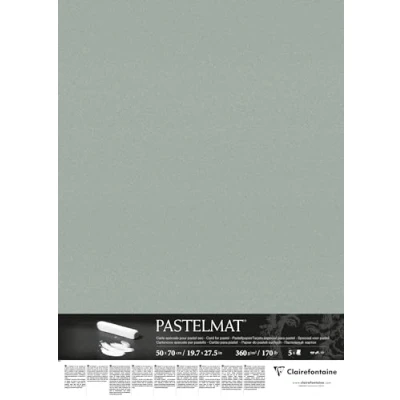 Bild av Clairefontaine Ref 96157C Pastelmatta kortark (paket med 5 ark) 360 gsm kort 50 x 70 cm ljusgrön färg speciellt formulerad för användning pasteller