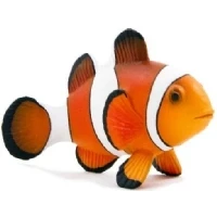 Bild av Mojo Sealife Clownfish