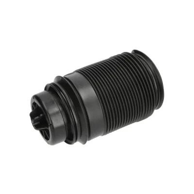 Bild av Luftfjäder, hjulupphängning KAVO PARTS SAS 10019