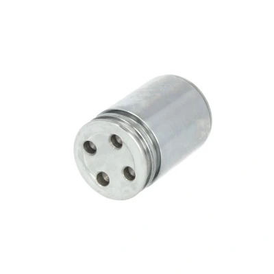 Bild av Kolv, bromsok AUTOFREN SEINSA D025241