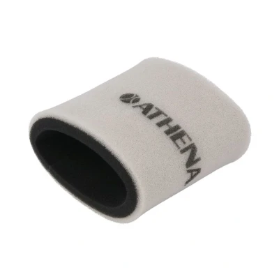 Bild av ATHENA S410250200021 Luftfilter