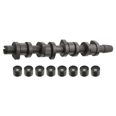 Bild av FEBI BILSTEIN 33197 Jeu d&#039;arbres à came AUDI: A4 B7 Avant, B6 Berline, VOLKSWAGEN: Passat B5 GP Berline
