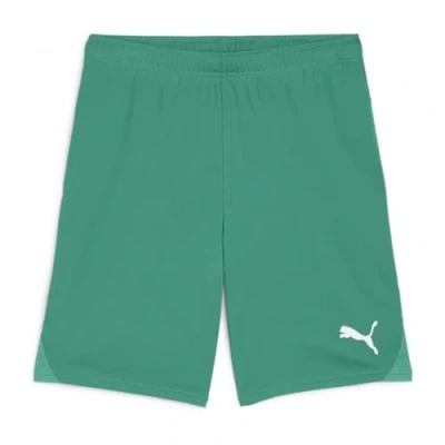 Bild av PUMA TeamGoal Shorts