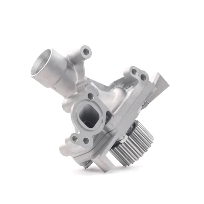 Bild av DOLZ C138 Pompe à eau avec boîtier PEUGEOT: 206 3/5 portes, 307 308 I CITROËN: Jumpy II Van, Xsara Picasso, C5 3