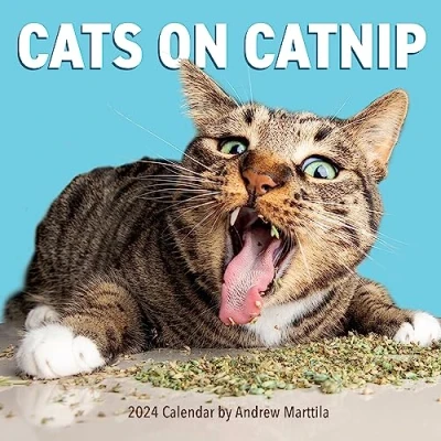 Bild av Cats on Catnip Wall Calendar 2024: A Year of Living the High Life and Feeling Niiiiice