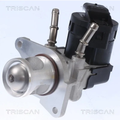 Bild av TRISCAN 8813 11001 Vanne EGR électrique avec joints, sans radiateur BMW: 3 Berline, 1 5 portes, Berline