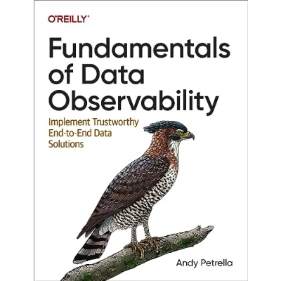 Bild av Fundamentals of Data Observability: Implement Trustworthy End To Solutions