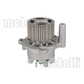 Bild av METELLI 24 0761 Pompe à eau 19 avec bague d&#039;étanchéité mécanique Tôle d&#039;acier 56,23 pour transmission par courroie de distribution